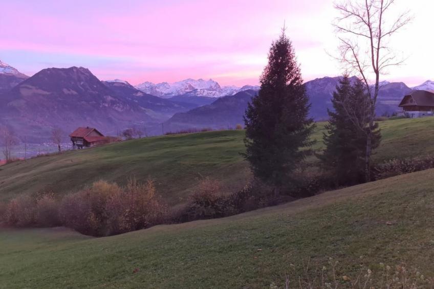 Stockenmatt Haus 2, Wohnung 22 - foto 13