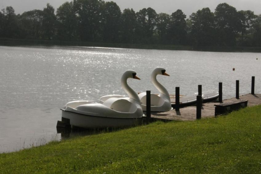 Landlust, Stadtnah -  Fewo im ehemaligem Bauernhaus mit Sauna, Kaminofen und gr - foto 30