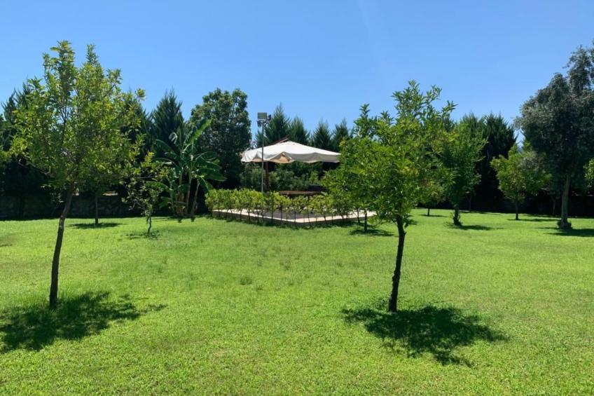 mit Terrasse - foto 55