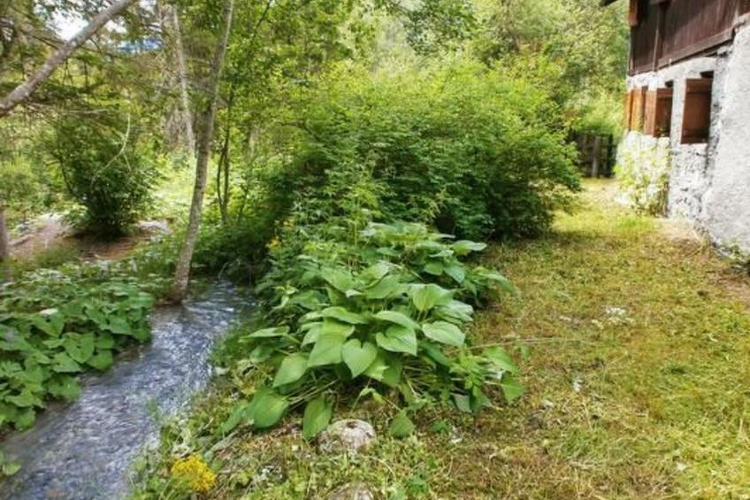 Alte typische Engadinermühle - foto 27