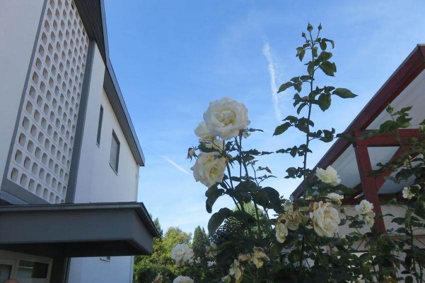 282009 - foto 2