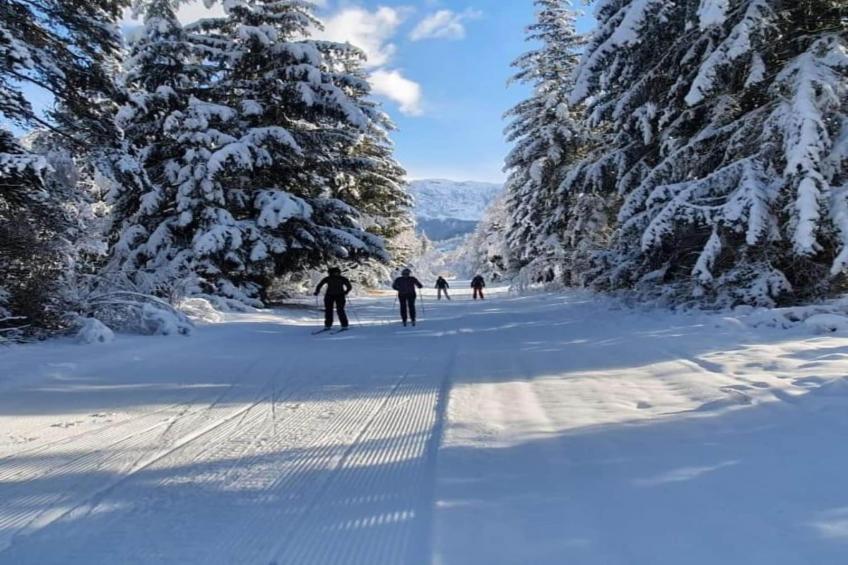 T.Bergerie A N°313 - 2P6C - foto 23