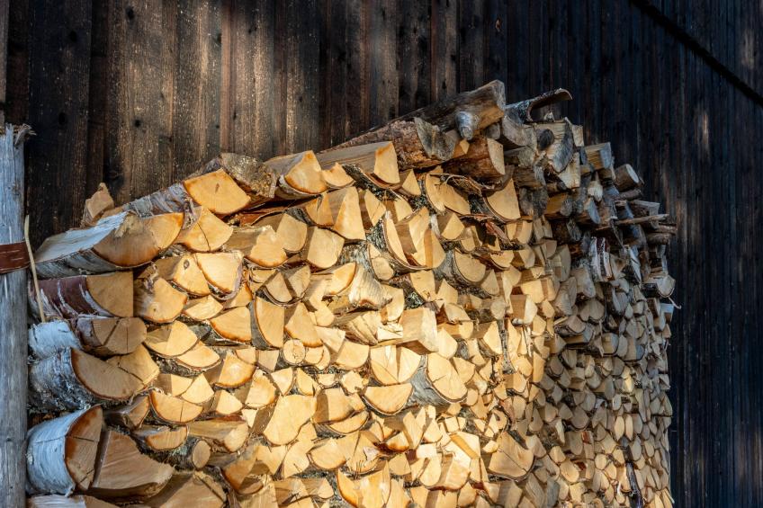 Fjällnästet - foto 23