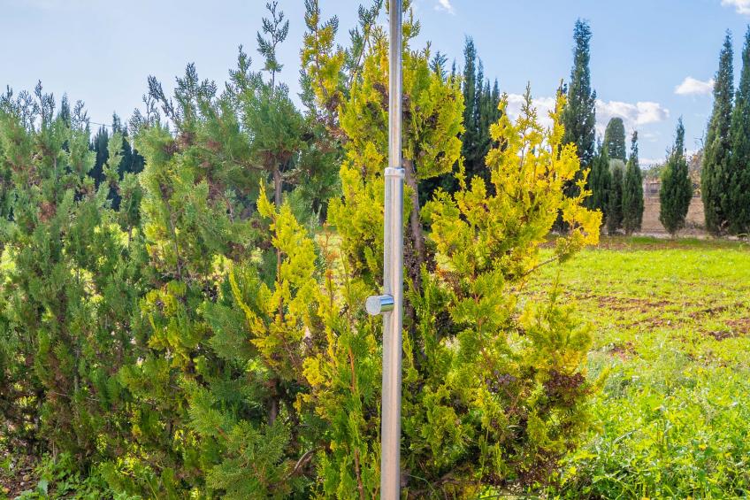 Ca'n Batlet (Inca) - foto 22