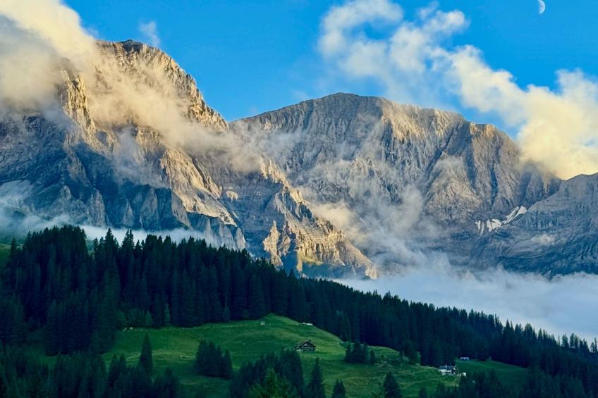 Chalet Bärgblüemli - foto 24