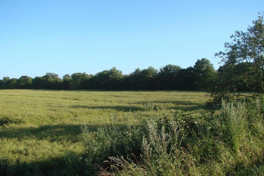 in Mühlendeich mit Großem Garten - foto 40