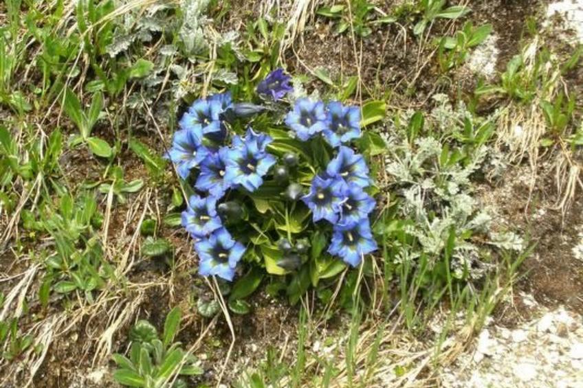 Ferien im grünen rechts - foto 18