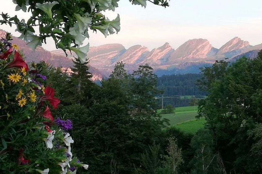 Gemütliche und geräumige Ferienwohnung - foto 13