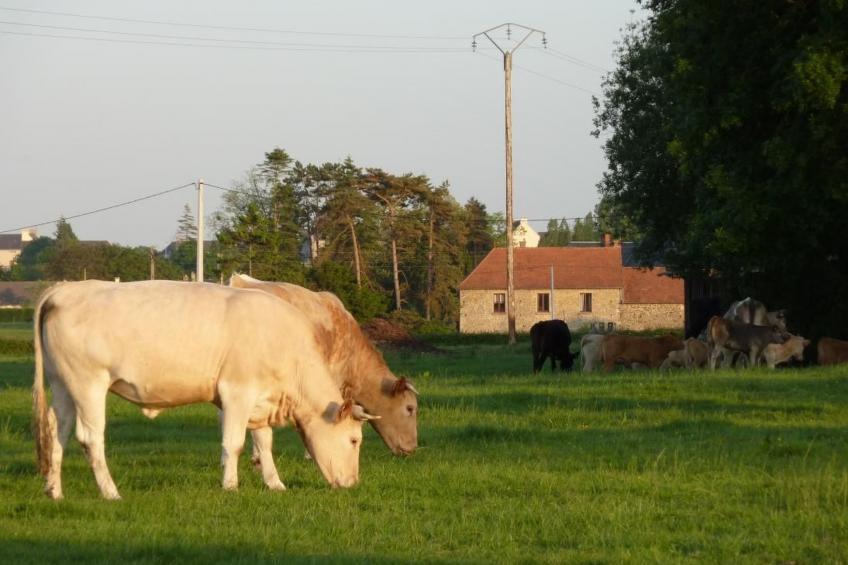 Kleines Studio auf dem Land für 2 Personen - foto 28