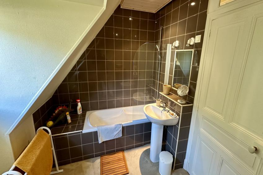 Villa Les Moullières de l’eau 14pers Le Mont Dore - foto 45