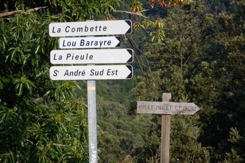 Wohnung "Saint Andre de Lancize" mit Terrasse - foto 17