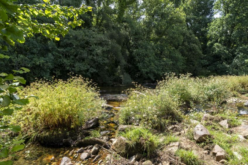 Rio Tambre - foto 24