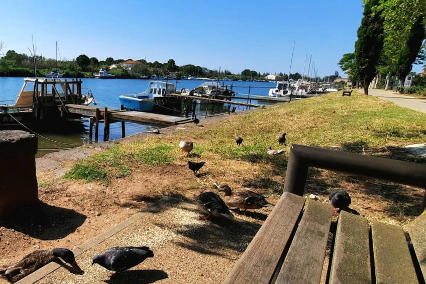 La résidence du Lac - maeva Home - foto 8