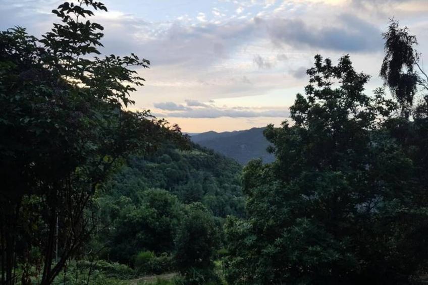 Gîte de France Gîte le plan 1 épi - foto 14