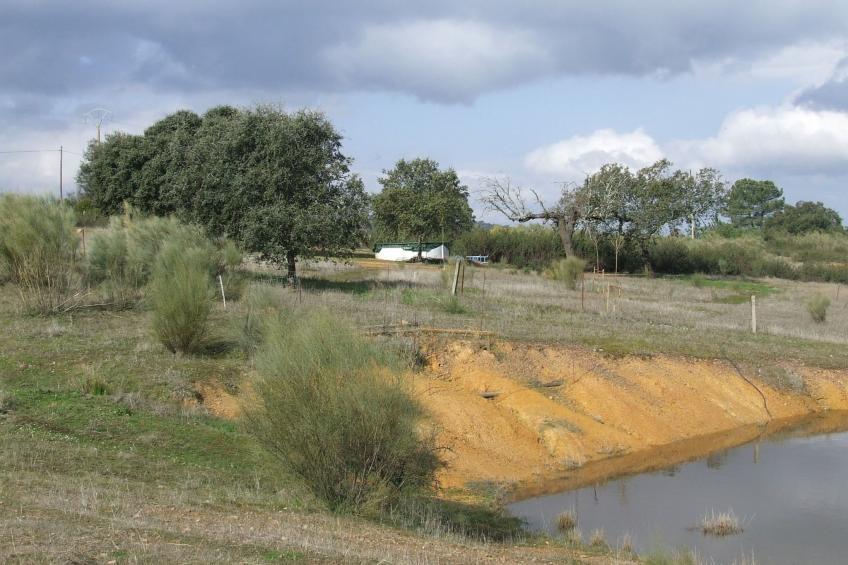 Finca El Chorrillo Studio - foto 43