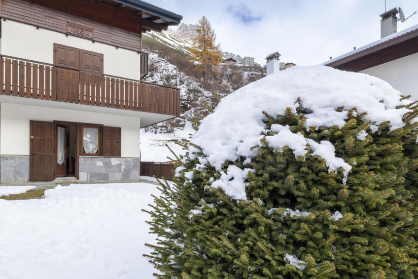 The Silent Sylva - foto 27