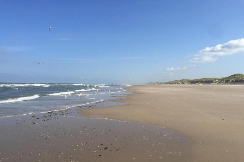 Wilca Hoeve - foto 24