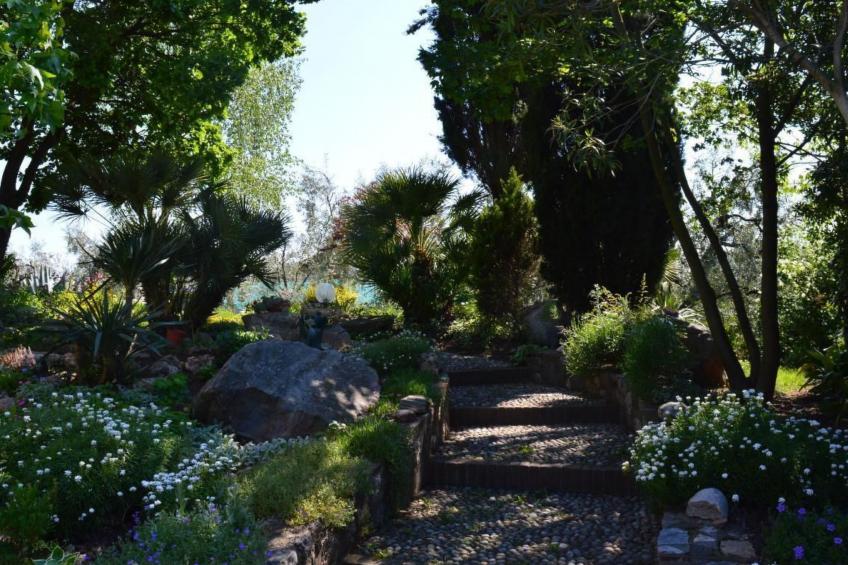 TERRAZZE SUL GARDA - foto 3