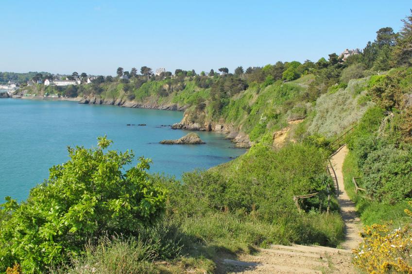 Les Cerisiers - foto 53