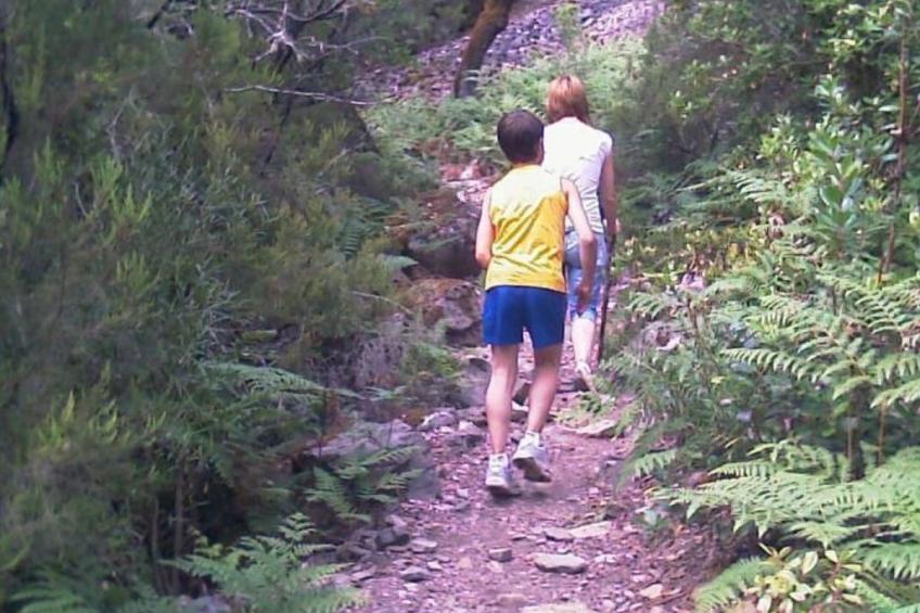 El Mirador del Soto - foto 10