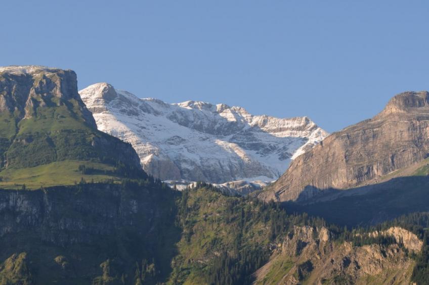 75372 - foto 3