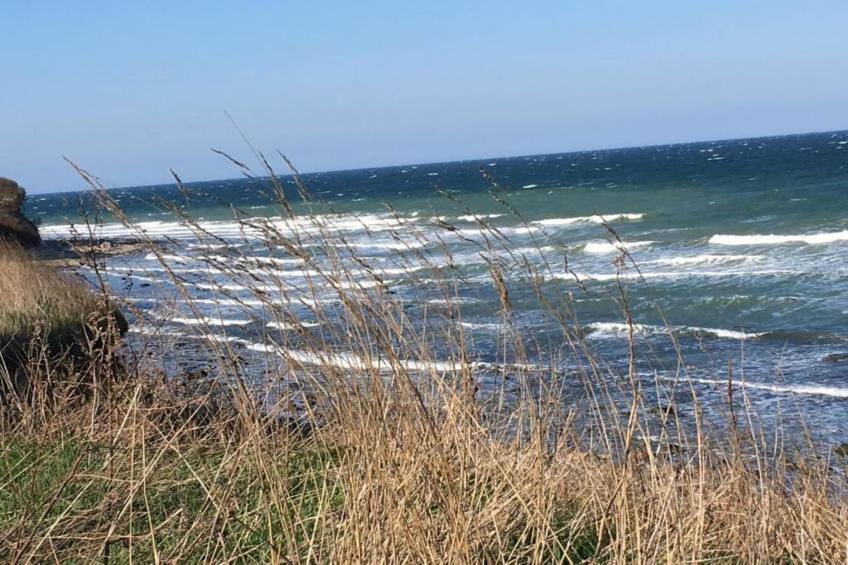 Platz im Grünen 2 - foto 26