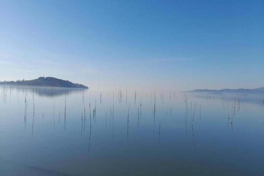 Frantoio 1 - foto 28