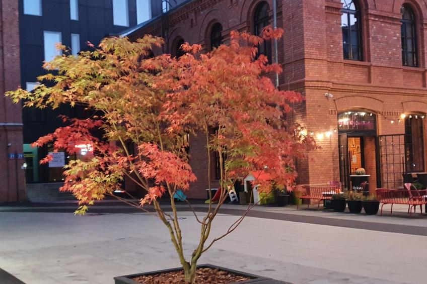 BESSERER PLATZ: Klassisches Warschau - foto 46