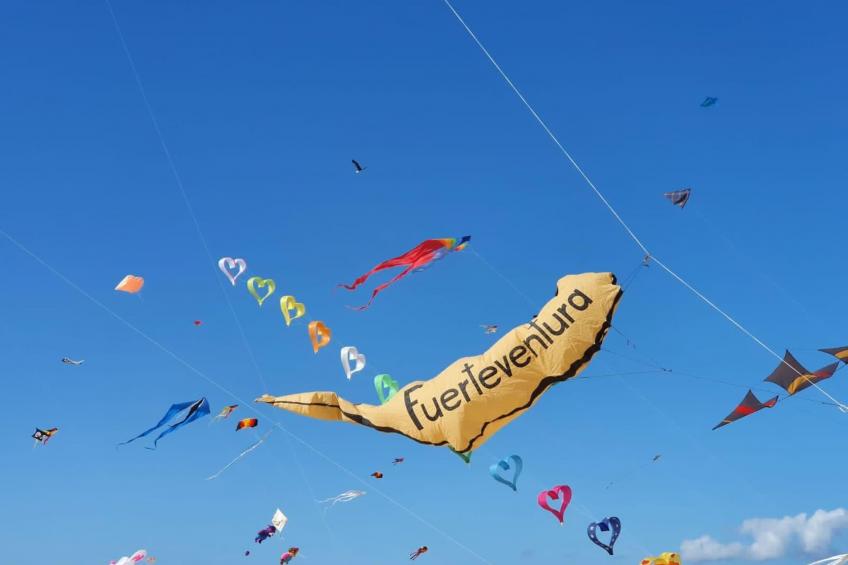 Großes modernes Ferienapartment Villa Atlantico - foto 37