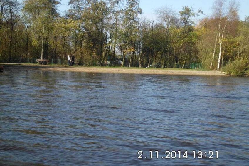 142950 - foto 42