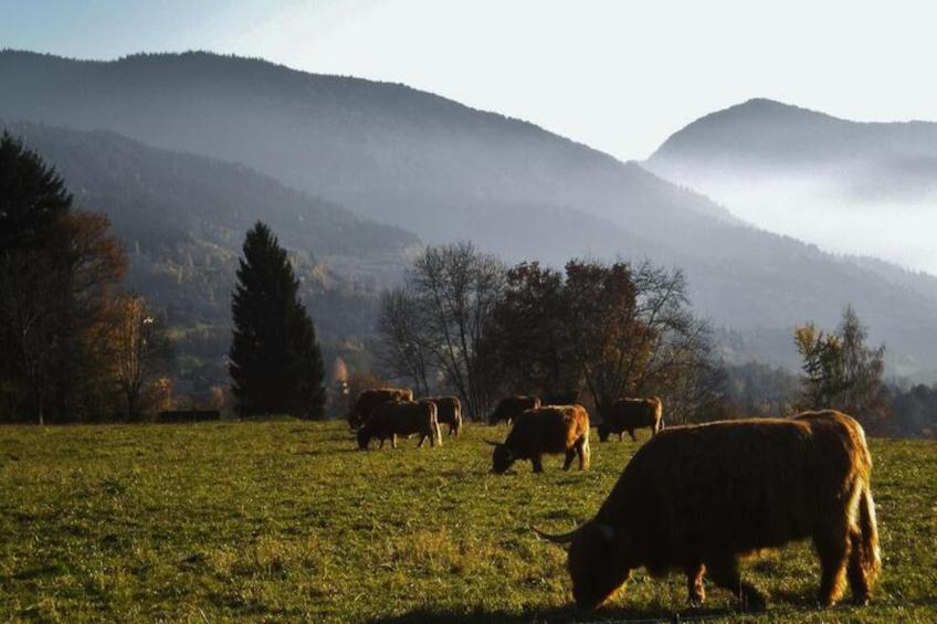 Résidence Les Villages du Bachat - foto 18