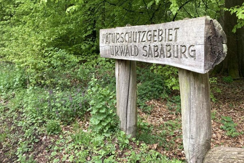 497456 - foto 27