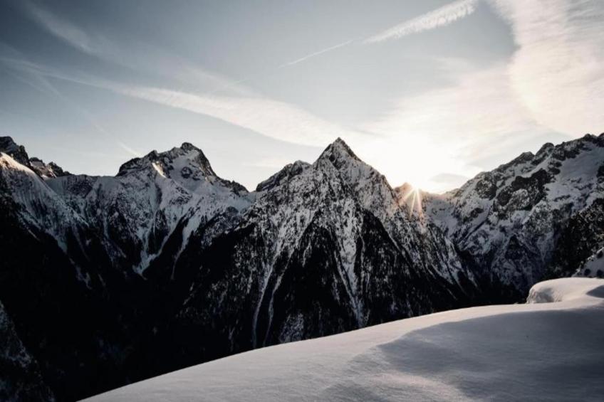 Coeur des Ours B N°01 - 3P6 - foto 33