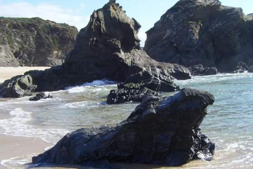 Monte Horizonte Casa Passaro Öko und Natur - foto 22