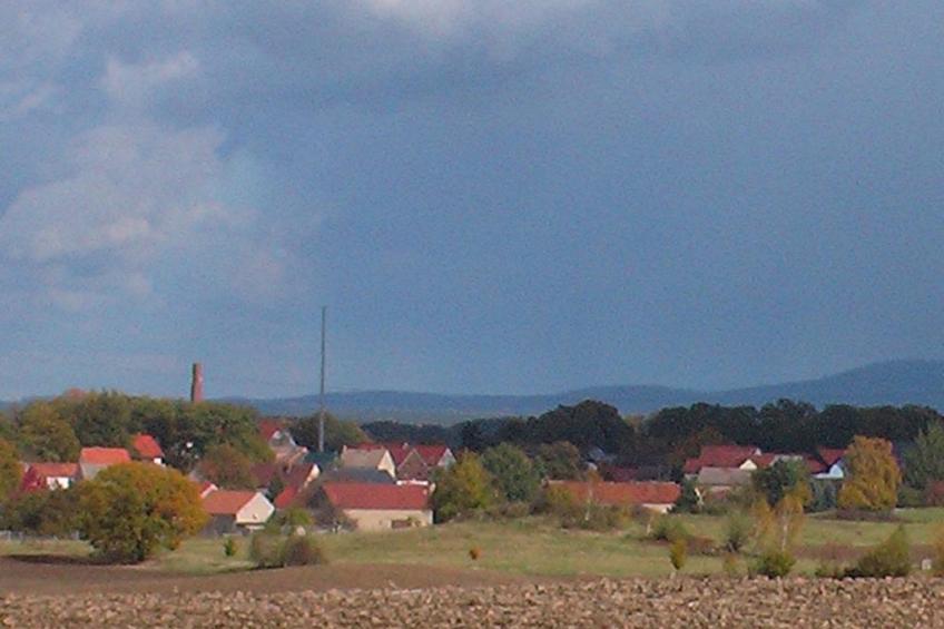 15353 - foto 15