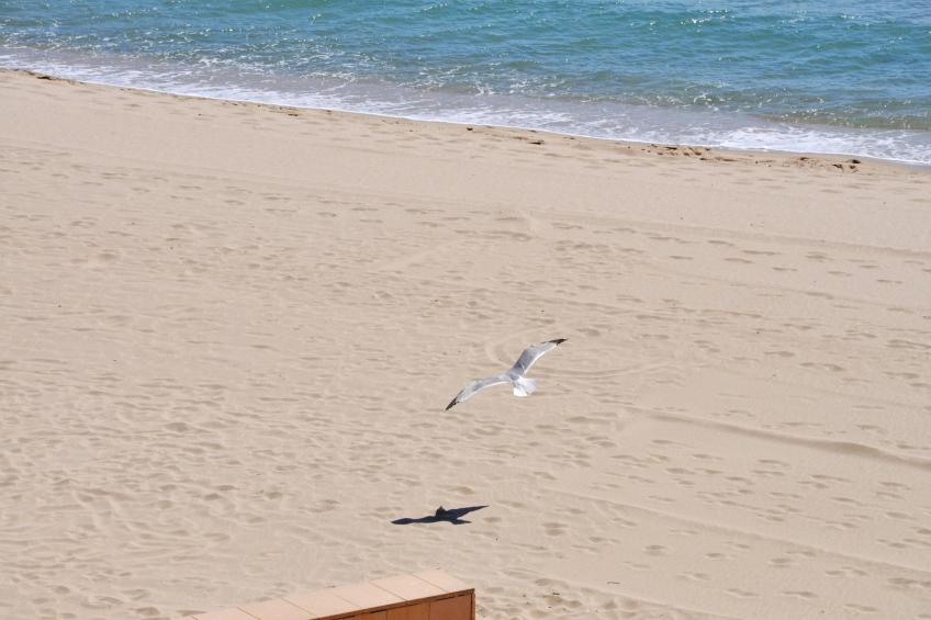 1216 THALASSA Estudio - foto 17