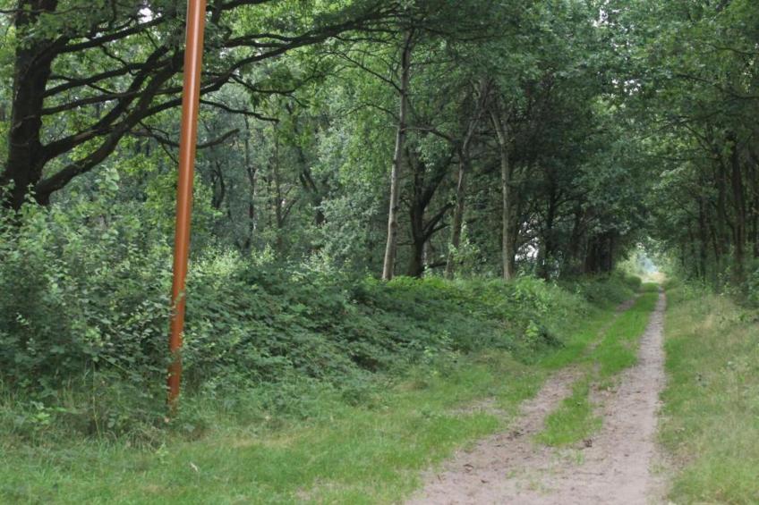 Vakantiepark de Katjeskelder 19 - foto 19