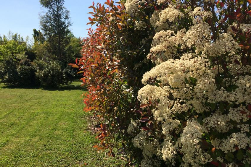 Landhaus La Villa Bolero - foto 31