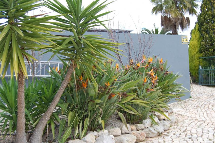 Villa Monte Alegrete - foto 41