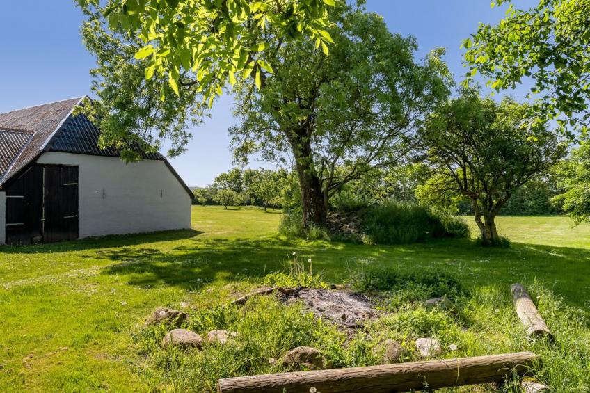 "Kara" - 100m to the inlet in The Liim Fiord - foto 12