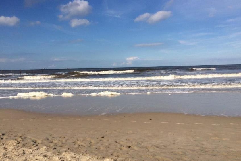 Storchennest - foto 28