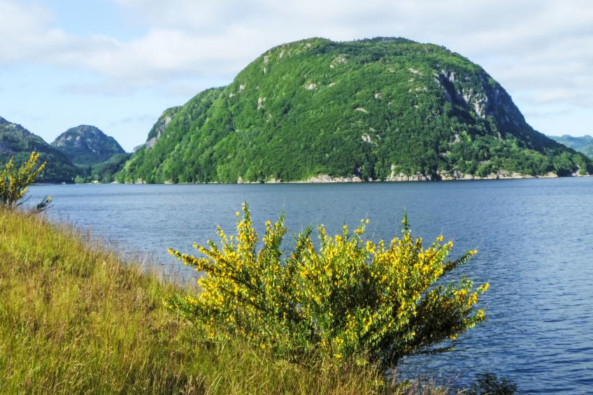 Åptafjorden (SOW684) - foto 28