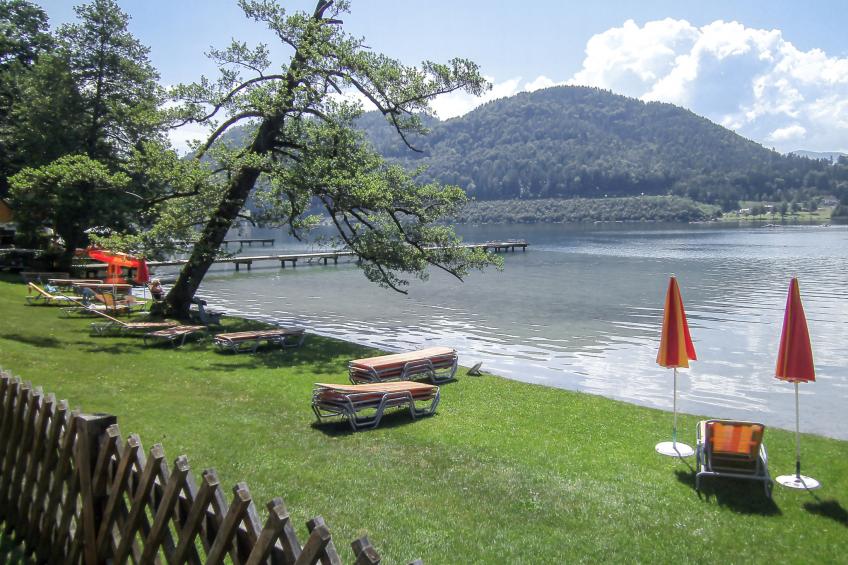 Forelle - foto 5