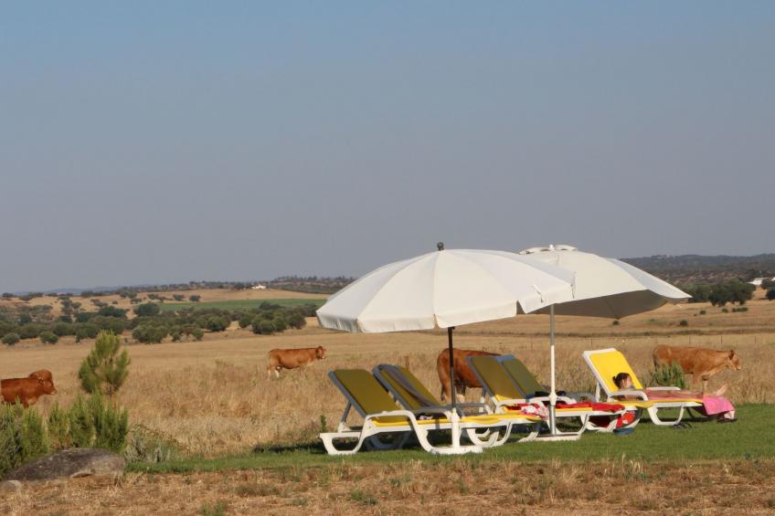 Ländlicher Tourismus - foto 12