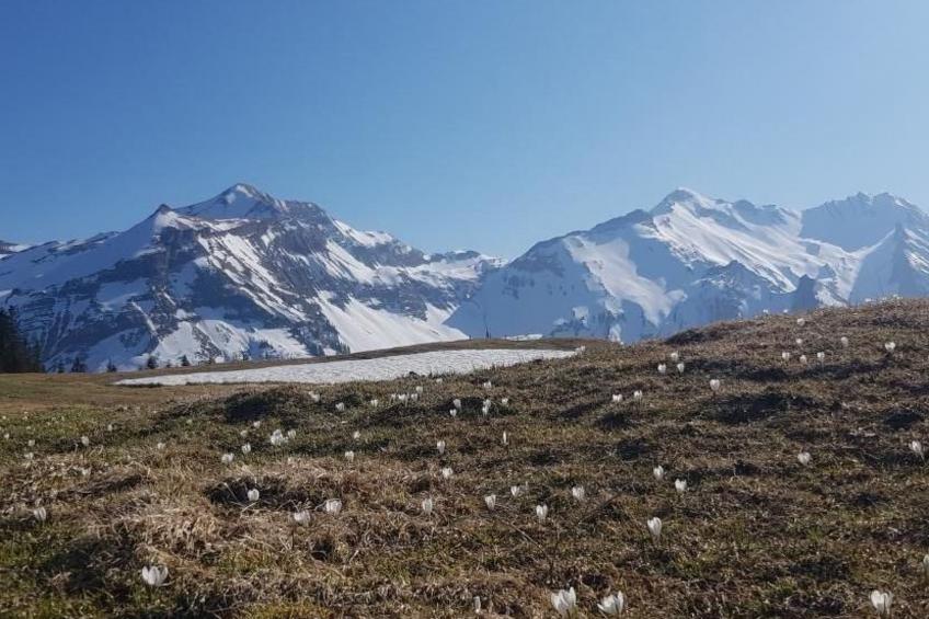 Kolibri Hochparterre - foto 26