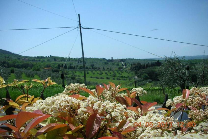 Country Resort Il Frassine - foto 37