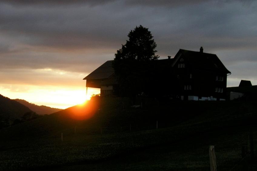 Ferien Alpsteinblick - foto 9