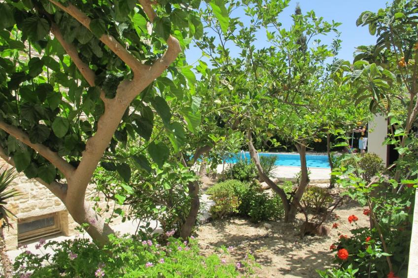 Villa Sofia - foto 22