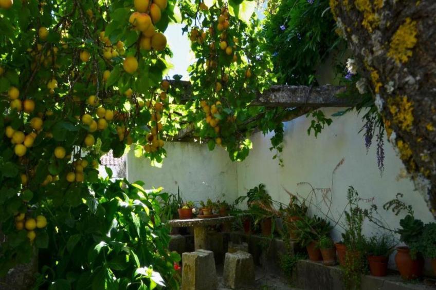 Historisches Haus in der Nähe des historischen Dorfes von Óbidos - foto 32