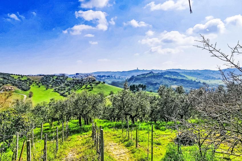 Velia's House - foto 16